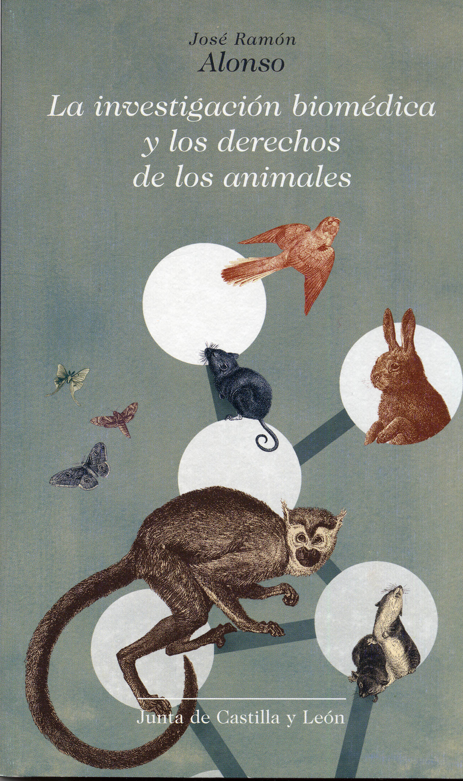 La investigación biomédica y los derechos de los animales