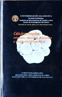 Células madre: orígenes, destinos, funciones y manipulación genética