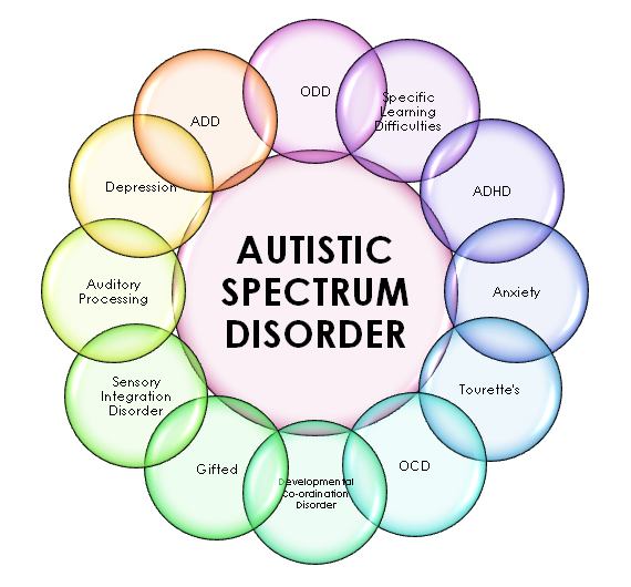 autism-spectrum-large