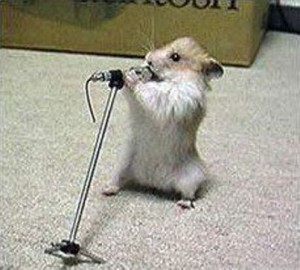 singing-mouse